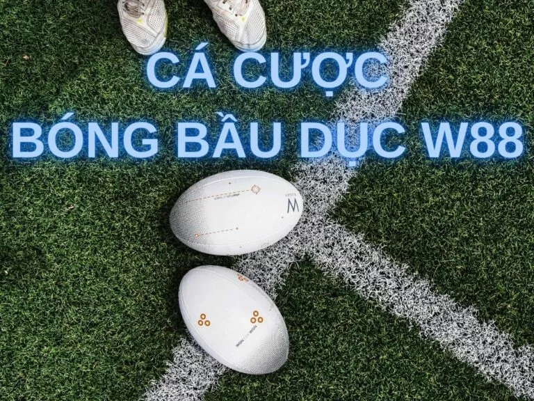 easy guide to betting on rugby w88 11 ca cuoc bong bau duc w88