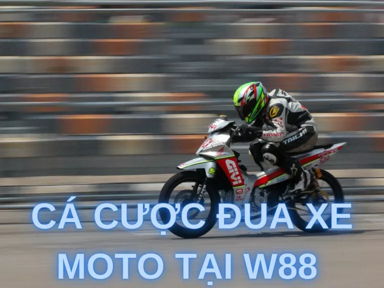 cách tham gia cá cược đua xe moto tại w88 đơn giản nhất 10 ca cuoc dua xe moto tai w88
