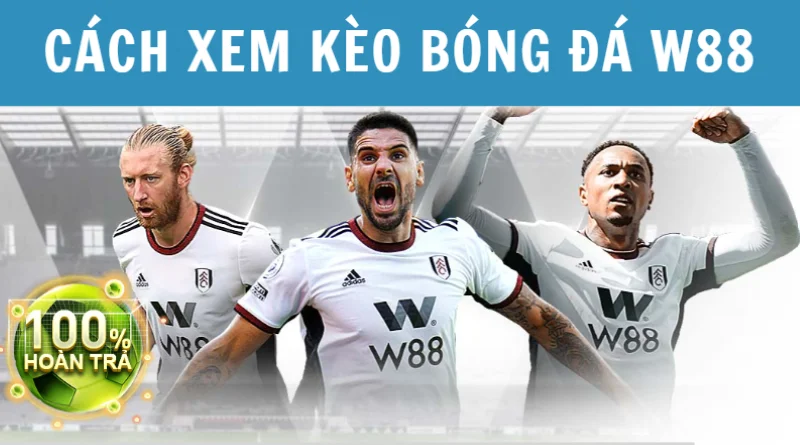 cách xem kèo bóng đá w88