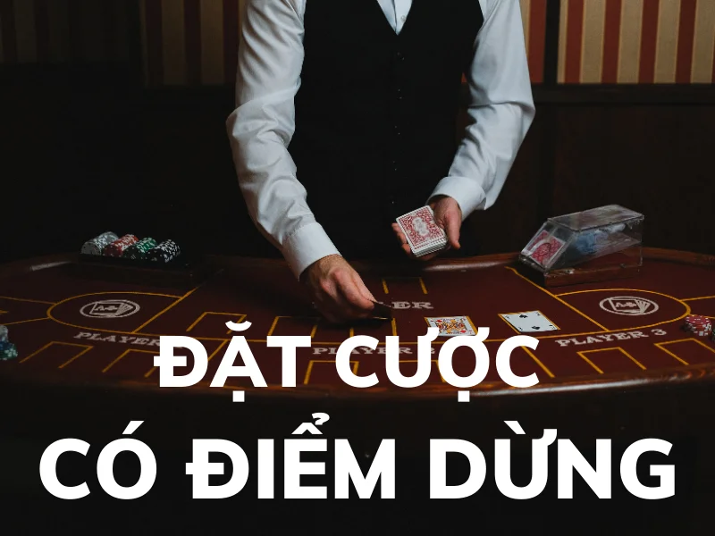 đặt cược có điểm dừng