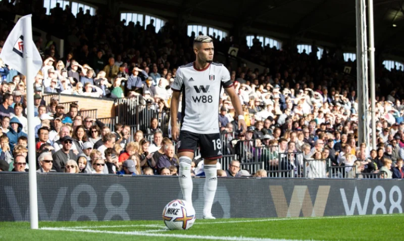 w88 fulham