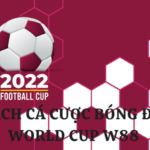 cách cá cược world cup w88
