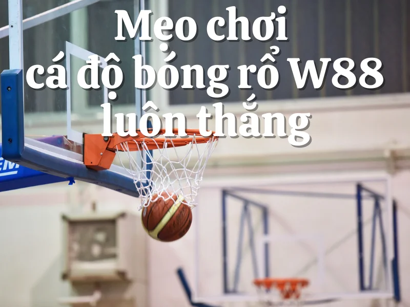 bí quyết chơi cá độ bóng rổ w88 luôn thắng