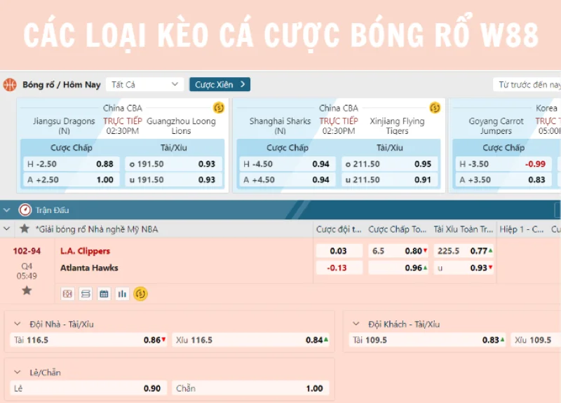 các loại kèo cá cược bóng rổ w88