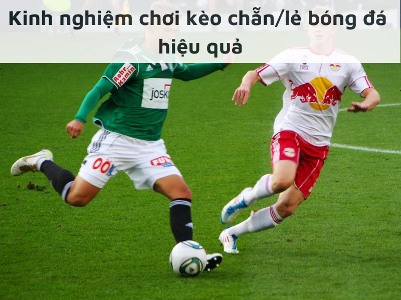 Kinh nghiệm chơi kèo chẵn lẻ bóng đá hiệu quả
