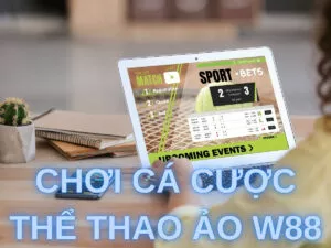 Hướng dẫn cách chơi thể thao ảo W88 đơn giản và chi tiết nhất