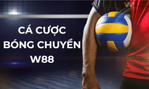 Hướng dẫn cách cá cược bóng chuyền dễ hiểu W88